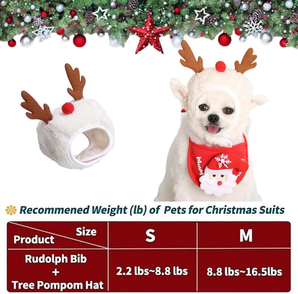 PawSanta™ – Festive Pet Hat & Bib Set