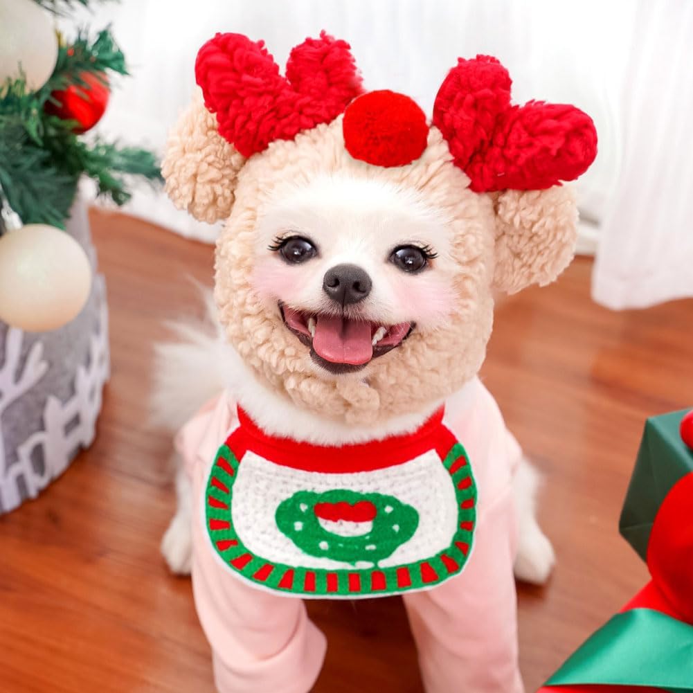 PawSanta™ – Festive Pet Hat & Bib Set