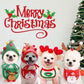 PawSanta™ – Festive Pet Hat & Bib Set